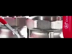 Weibliche X weibliche Verringerung des Durchflusses 16 Bar 4 